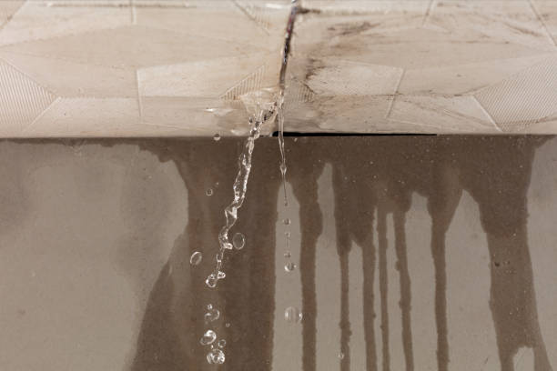 Professional Water Damage Restoration technician working in Burnside, IA